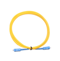 Câble de raccordement simple FTTH à fibre optique haute durabilité 0,9 mm 2 mm 3 mm SC/LC/ST/FC UPC APC pour réseau Wi-Fi