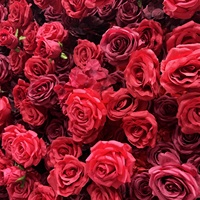 Fond de scène en soie rouge 5D de haute qualité, fleur de rose, décoration murale pour mariage, Noël, Nouvel An