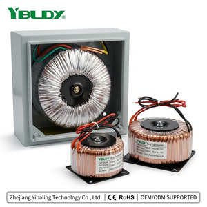Transformateur toroïdal monophasé 220V 240V 50-0-50 1000W-5000W en cuivre/aluminium CE pour l'éclairage - Product Image 2