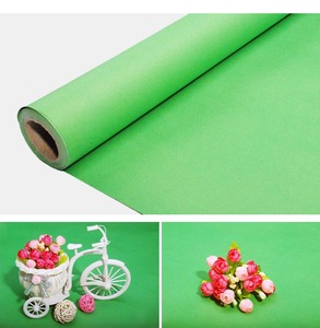 Phông nền giấy chụp ảnh chống thấm nước khổ 2,7x10m, 50 màu sắc - Product Image 4