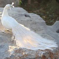 Décoration murale suspendue Paon blanc grandeur nature en plumes véritables 80/100/120cm Marque KITE Style Tendance