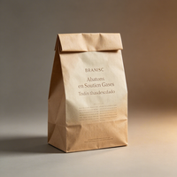 Sac en papier kraft blanc et brun recyclé compostable de petite taille sur mesure avec fenêtre de style luxueux pour aliments, pain et biscuits Waimai