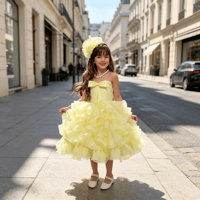 Robe mi-longue bouffante en organza à volants multicouches avec corsage à nœud pour filles, avec pince à cheveux fleur assortie, costume de princesse pour fête d'anniversaire