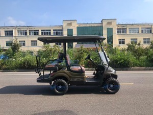 Voitures de golf électriques marron 1+1 places avec sièges personnalisés, voitures de golf électriques de haute qualité et voitures de golf de loisirs pour la famille - Product Image 4