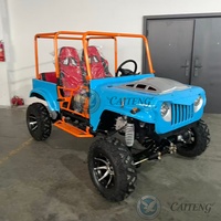 Vente Flash : Mini Jeep Électrique/à Essence Caiteng 250cc 300cc 350cc 500cc 200cc 4x4 Transmission Automatique 2 Places Garantie 2 Ans