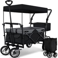 Usine OEM personnalisable tout-terrain chariot pliant grandes roues robustes 2 sièges enfant poignée réglable pour le shopping sportif