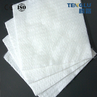 Toile géotextile non tissée de 200 g pour la maintenance routière, la prévention des infiltrations et la combinaison avec une géomembrane