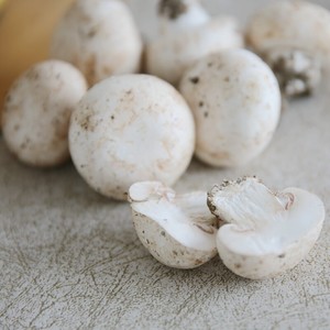 Champignons Blancs Surgelés IQF Grade A, Tranchés, Ingrédient pour <span class=keywords><strong>Pizza</strong></span>, Certifiés BRC, Vente en Gros, Carton de 1kg - Product Image 6
