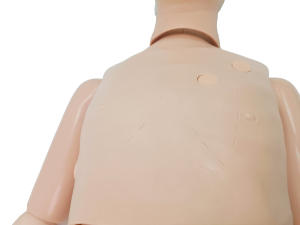 Mannequin de soins auxiliaires multifonctionnel pour l'entraînement <span class=keywords><strong>infirmier</strong></span> (homme) pour l'enseignement médical - Product Image 6