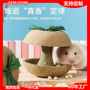 Barra de Masticar de Núcleo de Manzana para Hámster, Juguete Duradero para Mascotas de Interior, 75G - Product Image 5