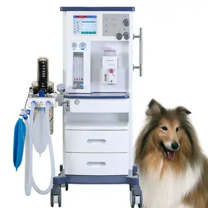 25 Years Chinese Manufacturer ISO&CE Veterinary Medical Equipment