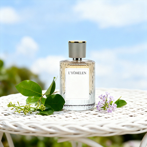 Perfume en Aerosol con Fragancia OEM, Botella con Logotipo Personalizado, Eau de Parfum de Larga Duración para Hombre - Product Image 3