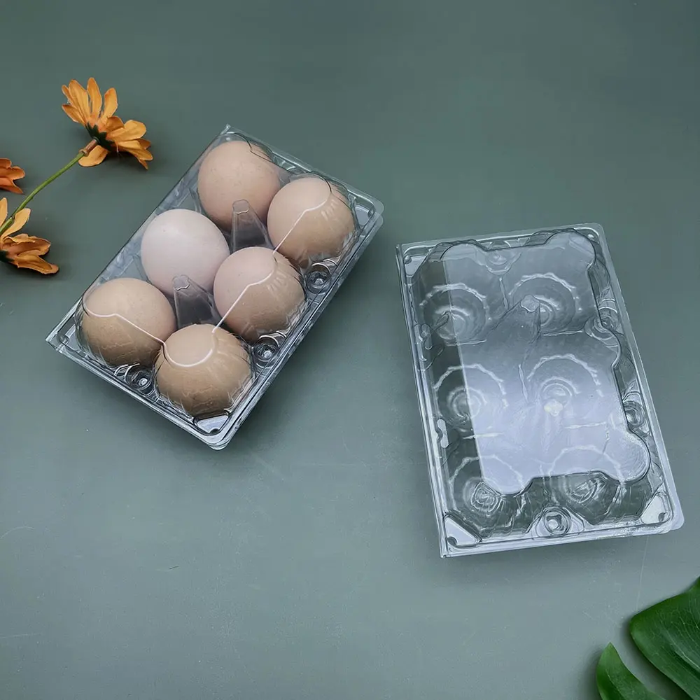 पर्यावरण फैक्टरी पालतू जानवर प्लास्टिक पैकेजिंग 6 8 9 12 15 18 24 कोशिकाओं चिकन अंडे बॉक्स छाला ट्रे के लिए