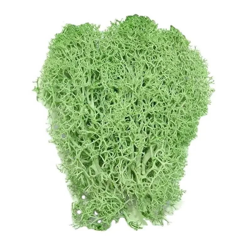 DIYフラワー素材マイクロランドスケープアクセサリー200g人工緑植物永遠の命モスグラスDecoration1600706848343-XM