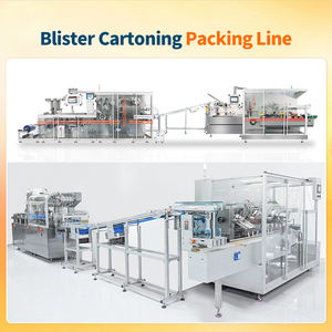 Máquina Selladora de Blísteres para Cápsulas de Gelatina Blanda y Tabletas de Aluminio y Plástico, Serie DPP, Precio de Fábrica - Product Image 6