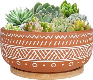 <span class=keywords><strong>Pot</strong></span> à <span class=keywords><strong>bonsaï</strong></span> rond peu profond de 8 pouces en terre cuite, <span class=keywords><strong>pot</strong></span> à plantes succulentes <span class=keywords><strong>avec</strong></span> trou de drainage et <span class=keywords><strong>soucoupe</strong></span> <span class=keywords><strong>pour</strong></span> plantes d'intérieur - Product Image 6