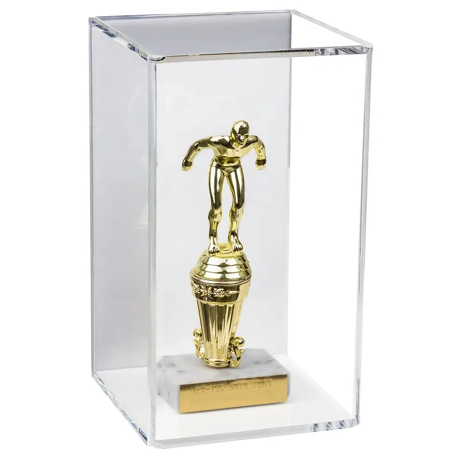 Wall Mount Acrylic Trophy hộp hiển thị cho các cửa hàng