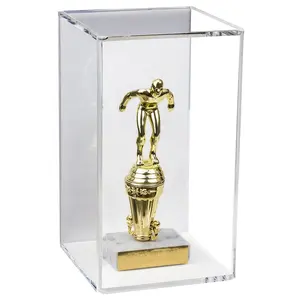Wall Mount Acrylic Trophy Display Box for Shops