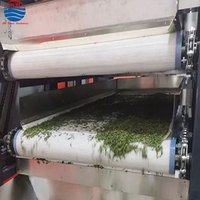 Bande transporteuse en maille 100 % polyester à longue durée de vie pour la déshydratation des aliments et le séchage des pâtes vermicelles, longueur et largeur personnalisables