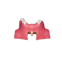 Implante Dental de Venta Directa de Fábrica, Simulador de Seno Maxilar con Encía Suave, Certificación CE/ISO