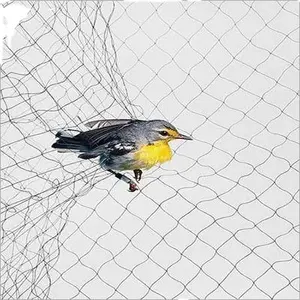 רשתות ערפל ללכידת ציפורים ציפור