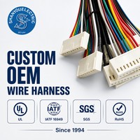 KitCZJSMX Kit Kabel Kustom 30cm 40pin Warna Kabel Jumper Pria Wanita Berperingkat IP67 PVC Karet Nilon Elektronik Otomotif