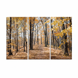 Lienzo Impreso: Decoración de Pared con Paisaje Forestal Otoñal, Juego de 3 Lienzos - Product Image 2