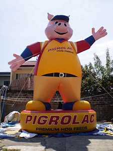 شخصيات كرتونية عملاقة قابلة للنفخ بطول 20 قدمًا مصنوعة من البي في سي أو النايلون حسب الطلب - Product Image 3