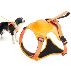 Harnais pour <span class=keywords><strong>chien</strong></span> best-seller avec poitrine et dos intégrés, étirement automatique, anti-explosion, <span class=keywords><strong>collier</strong></span> pour animaux <span class=keywords><strong>de</strong></span> compagnie - Product Image 1