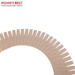Hongsbelt HS-880-K450 fabrika fiyat plastik zincirler gıda ve içecek fabrikası için konveyör bant - Product Image 2