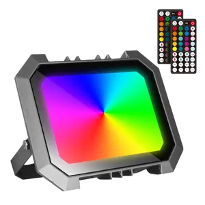 WOSEN Factory Direct Sale Plug Outdoor Etl Led 30W 50W 100W With Dmx Control Rgb Flood Light