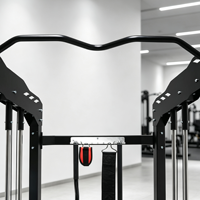 Nouvelle conception, équipement de musculation multifonctionnel de haute qualité pour la maison, machine Smith pour la musculation des triceps et du dos
