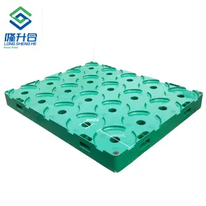 Waterfles Plastic Longshenghe Heavy Duty Europallet 5 Gallon Dubbelzijdig Plastic Pallet Hdpe