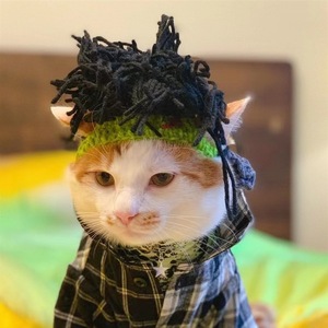 Divertido sombrero para gato, gorro para gato sin pelo, accesorio para cabeza de esfinge, perro, estilo punk de Devon, reggae, decoraciones y disfraces estilo rock - Product Image 3