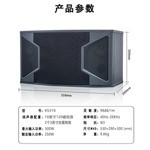 Stage <b>Speaker</b> KS310 2.0 Channel 220V Professional Audio For Public Address Outdoor KTV Conference - Product Image 5