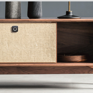 Khóa Vân Tay Khóa Tủ Thông Minh Khóa Vân Tay Cho Tủ Đồ Nội Thất Tủ Ngăn Kéo Tủ Quần Áo Không Chìa Sinh Trắc Học - Product Image 6