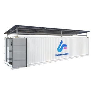 Cella Frigorifera per Container 20/40FT con Compressori Copeland & Emerson, <span class=keywords><strong>Motore</strong></span> R410A per Stoccaggio Carne Congelata - Product Image 1
