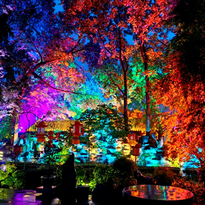 Iluminación de Alta Potencia para Cubrir Árboles Grandes y Elementos del Paisaje con una Iluminación Nocturna Saturada - Product Image 1