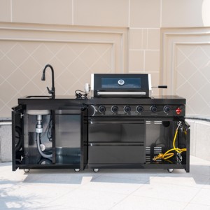 Barbacoa de Gas Moderna de Acero Inoxidable 304 y Titanio para Exteriores, para Hogar y Fiestas, Barbacoas Interiores y Exteriores DY-411A-B5 - Product Image 2