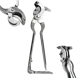 Pinza Emasculadora Veterinaria de Acero Inoxidable con Trinquete para Castración de Mascotas, Herramienta Eficaz para Cirugía Veterinaria VCA-107 - Product Image 1