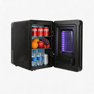 Mini-réfrigérateur 15L pour lait maternel, réfrigérateur de voiture, refroidissement et chauffage, porte miroir, bande lumineuse LED pour cosmétiques - Product Image 1