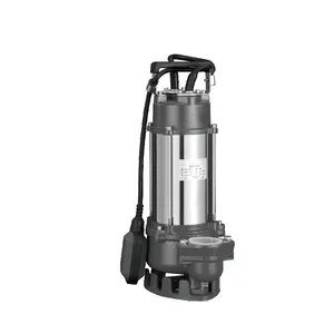 WQD250-B 1.25 Inch Copper Wire Stainless Steel Submersible Sewage Pump with Float Switch