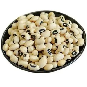 Polvo de Extracto de Frijol Blanco Natural Puro de Alta Calidad 10:1, Polvo Soluble en Agua de Frijol Blanco, Extracto Herbal de China - Product Image 3