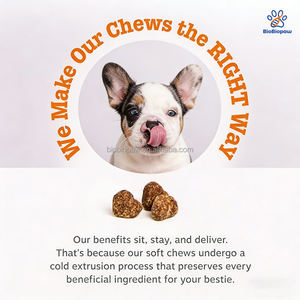 OEM/ODM 11'i 1 Arada Köpek Ödül Maması, Doğal 11'i 1 Arada Çok Fonksiyonlu Yaşlı Köpek Takviyeleri, Deri ve Tüy Sağlığı + Bağışıklık Sistemi için - Product Image 4