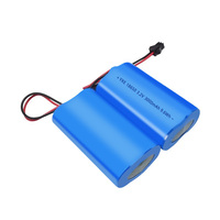 Grosir OEM/ODM kapasitas tinggi komersial 3.2V/3000mah baterai Lithium Ion isi ulang daya tahan lama 3000mah +