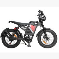 Vélo de montagne électrique 48v avec logo personnalisé OEM, 1000w, tout-terrain, pneus larges de 20 pouces, vélo électrique tout-terrain