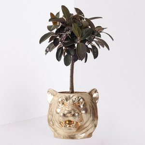 <span class=keywords><strong>Macetas</strong></span> y <span class=keywords><strong>macetas</strong></span> de animales con estilo único, cabeza de tigre de arcilla de fibra, maceta de planta negra dorada y bronce - Product Image 3