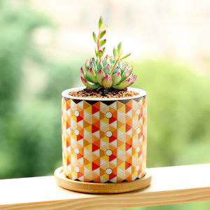 Pot de fleurs pastoral pour plantes succulentes, fleurs, pot en céramique simple pour intérieur, bureau, balcon, bureau, avec trous pour la ventilation - Product Image 1