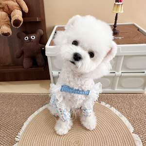 Pet Cat <span class=keywords><strong>Dog</strong></span> Outdoor Walking Dustproof Calças Pequeno Cão Teddy Bichon Anti-Sujeira Calças Bichon Teddy <span class=keywords><strong>Dog</strong></span> Leg Covers - Product Image 2