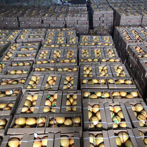 Pomelo congelé aux fruits <span class=keywords><strong>chinois</strong></span> au meilleur prix certifié IQF BRC de qualité supérieure - Product Image 1